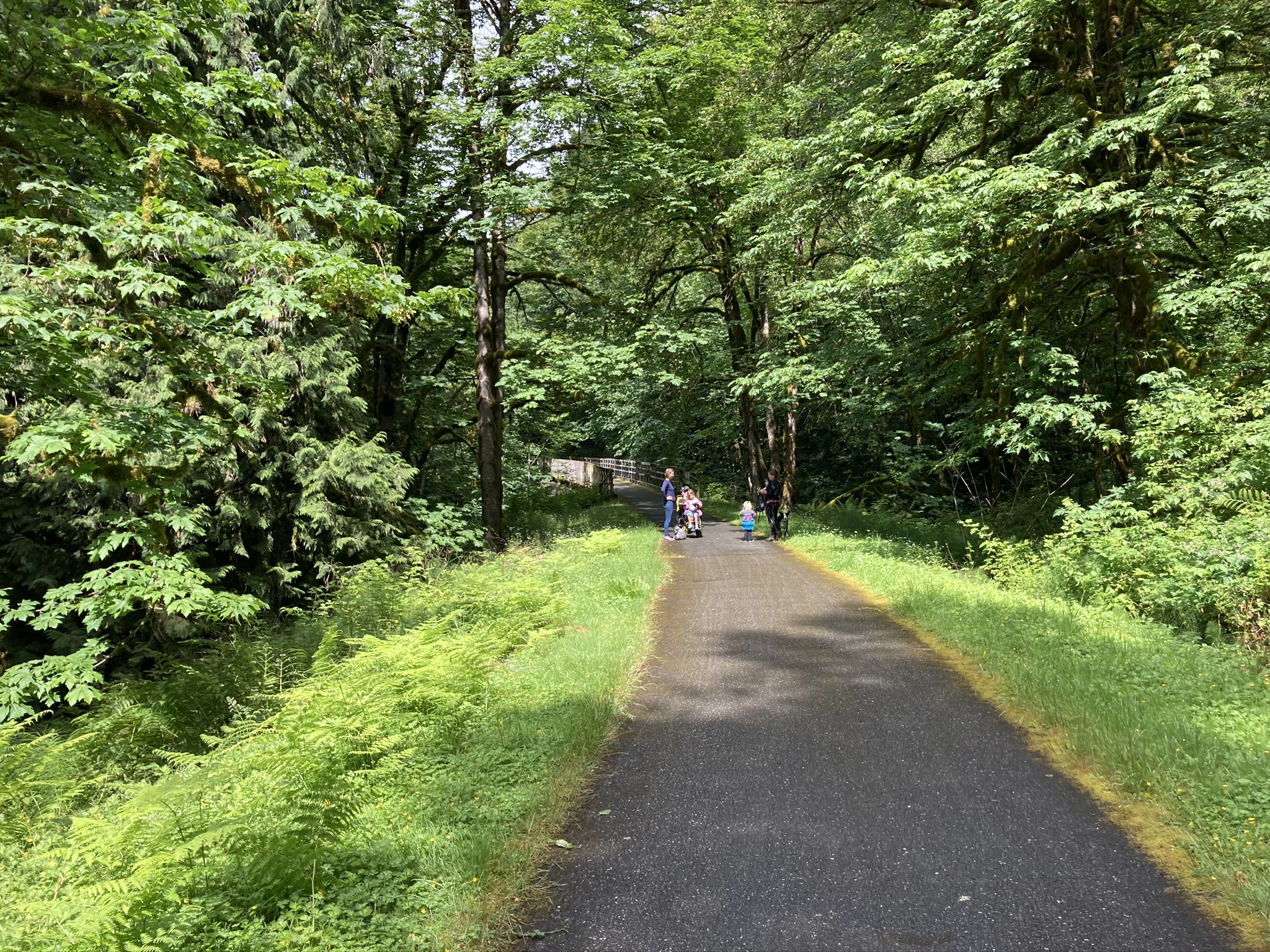 Preston-Snoqualmie Trail - Rolling Washington