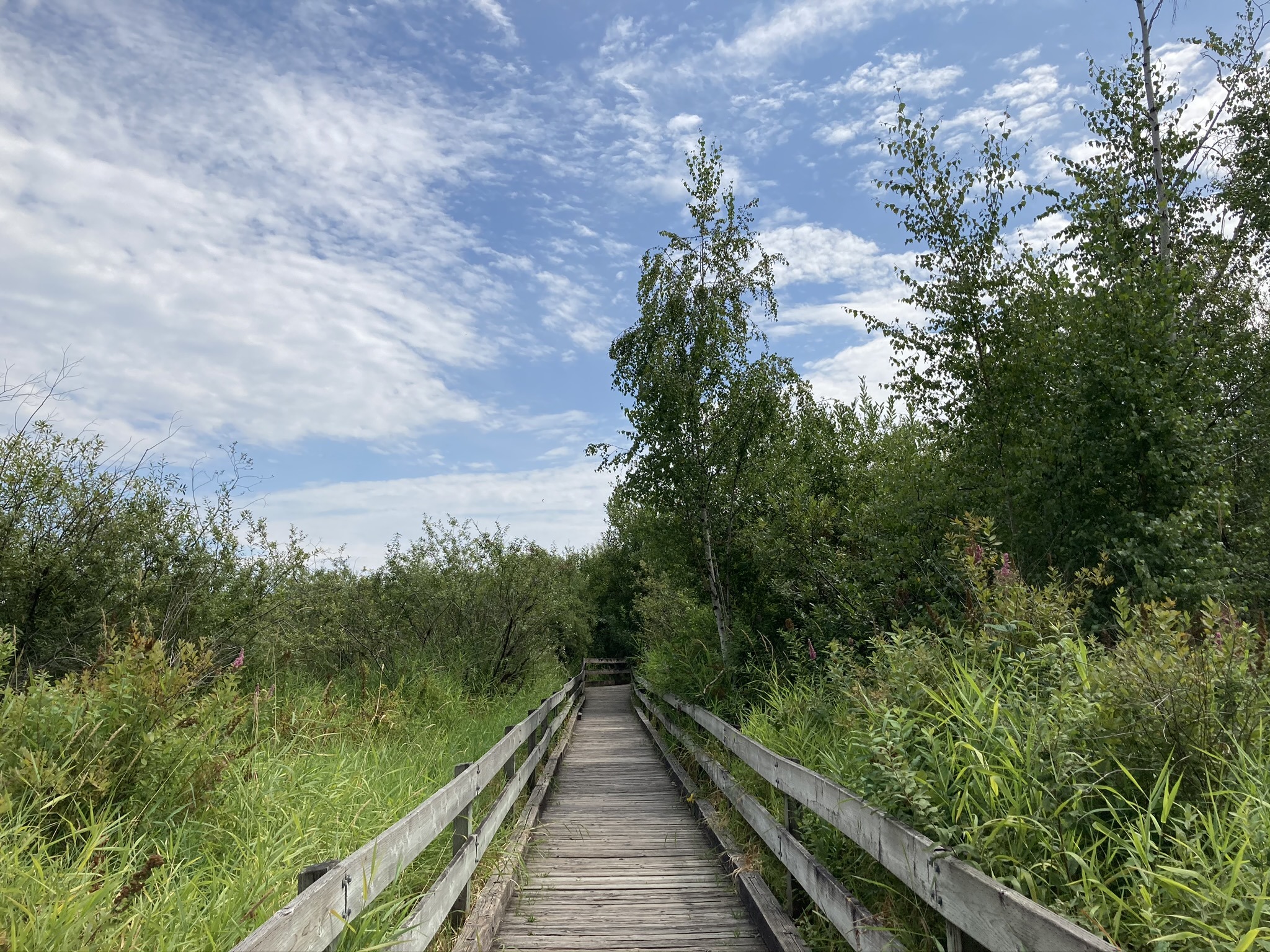 marymoor park bike trail