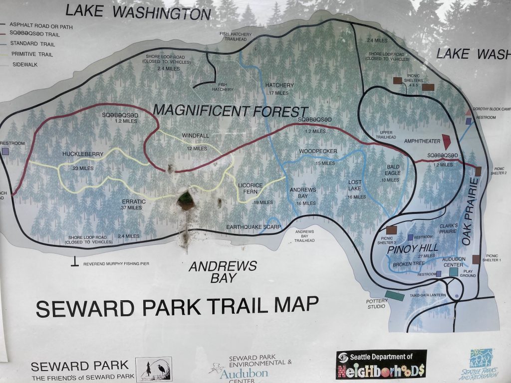 Sqebeqsed & Perimeter Loop Trails (Seward Park) - Rolling Washington