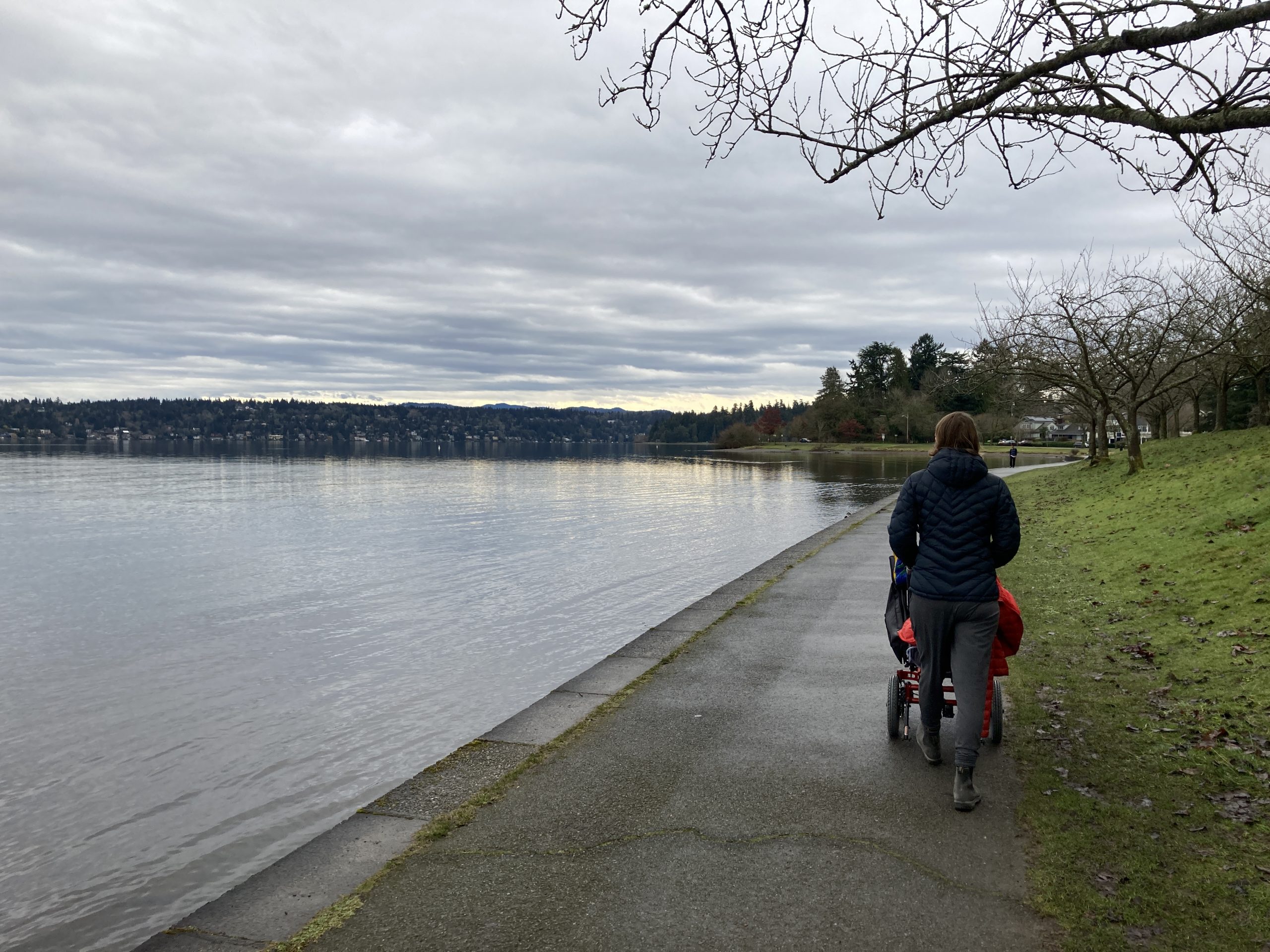 Lake Washington Boulevard - Rolling Washington