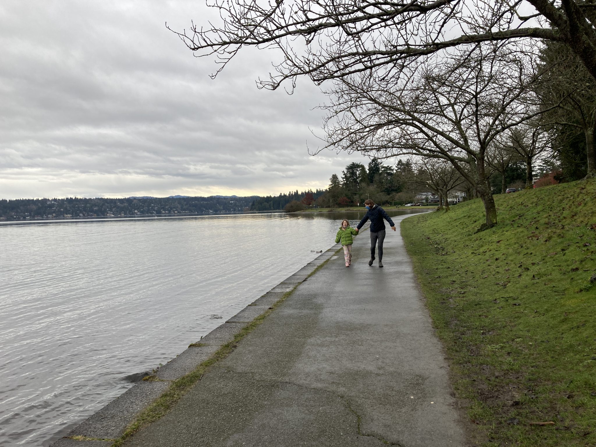 Lake Washington Boulevard - Rolling Washington