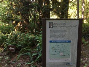 Sign for interpretive ADA trail, with arrow pointing left